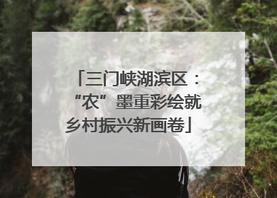三门峡湖滨区：“农”墨重彩绘就乡村振兴新画卷