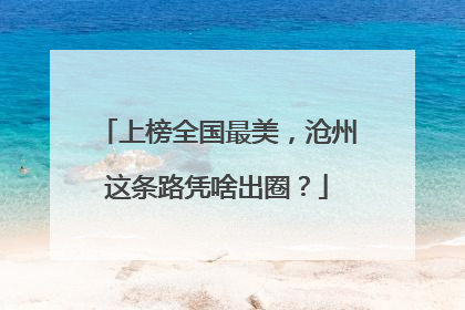 上榜全国最美，沧州这条路凭啥出圈？