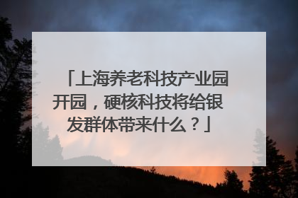 上海养老科技产业园开园，硬核科技将给银发群体带来什么？