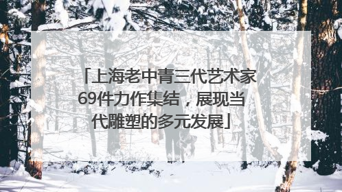 上海老中青三代艺术家69件力作集结，展现当代雕塑的多元发展