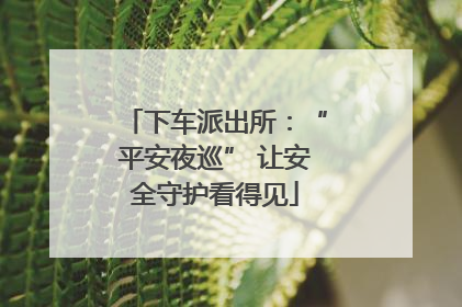 下车派出所：“平安夜巡” 让安全守护看得见