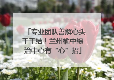 专业团队善解心头千千结！兰州榆中综治中心有“心”招