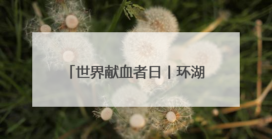 世界献血者日丨环湖“超”热血！献血车开进红山森林动物园