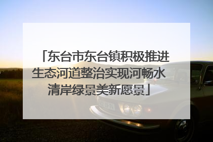 东台市东台镇积极推进生态河道整治实现河畅水清岸绿景美新愿景