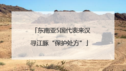 东南亚5国代表来汉寻江豚“保护处方”