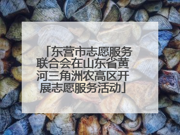 东营市志愿服务联合会在山东省黄河三角洲农高区开展志愿服务活动