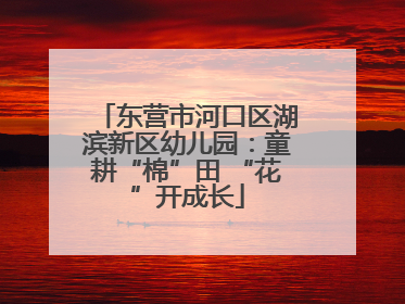 东营市河口区湖滨新区幼儿园：童耕“棉”田 “花”开成长