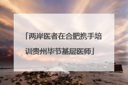 两岸医者在合肥携手培训贵州毕节基层医师