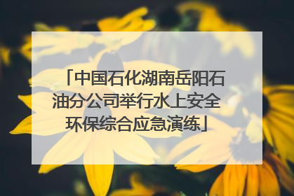 中国石化湖南岳阳石油分公司举行水上安全环保综合应急演练