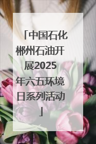 中国石化郴州石油开展2025年六五环境日系列活动