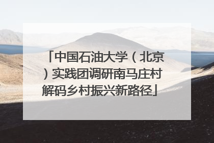 中国石油大学（北京）实践团调研南马庄村解码乡村振兴新路径