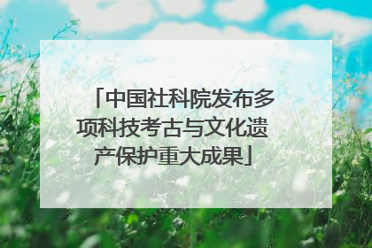 中国社科院发布多项科技考古与文化遗产保护重大成果