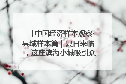 中国经济样本观察·县域样本篇｜夏日来临，这座滨海小城吸引众多年轻人打卡……