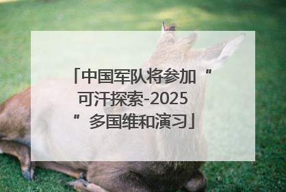 中国军队将参加“可汗探索-2025”多国维和演习