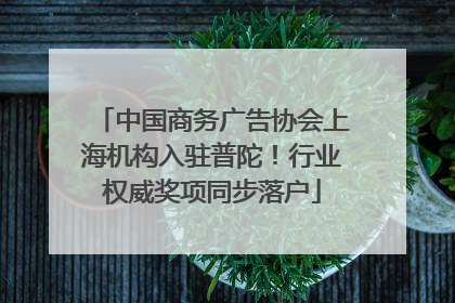 中国商务广告协会上海机构入驻普陀！行业权威奖项同步落户