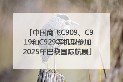 中国商飞C909、C919和C929等机型参加2025年巴黎国际航展