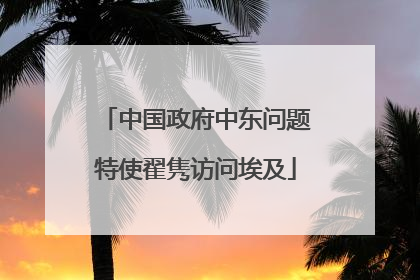 中国政府中东问题特使翟隽访问埃及