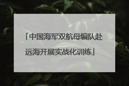 中国海军双航母编队赴远海开展实战化训练