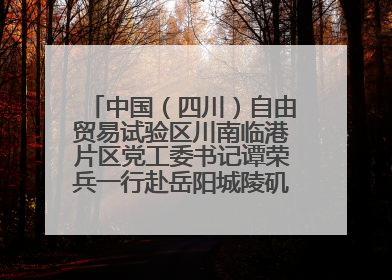 中国（四川）自由贸易试验区川南临港片区党工委书记谭荣兵一行赴岳阳城陵矶综保区考察