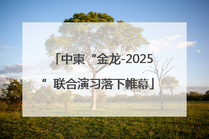 中柬“金龙-2025”联合演习落下帷幕