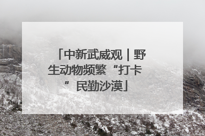 中新武威观｜野生动物频繁“打卡”民勤沙漠