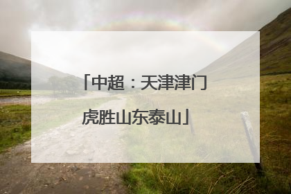 中超：天津津门虎胜山东泰山
