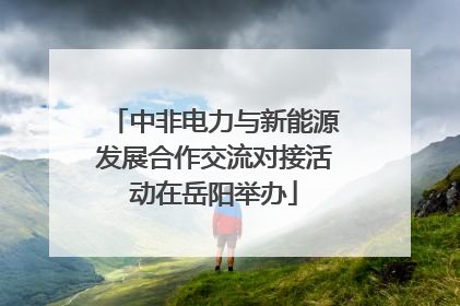 中非电力与新能源发展合作交流对接活动在岳阳举办