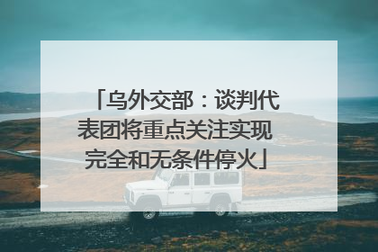 乌外交部：谈判代表团将重点关注实现完全和无条件停火