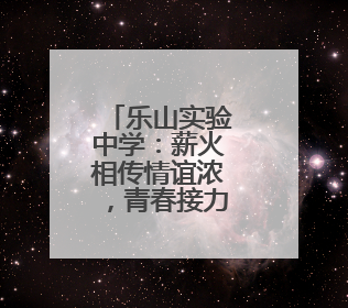 乐山实验中学：薪火相传情谊浓，青春接力共奋进