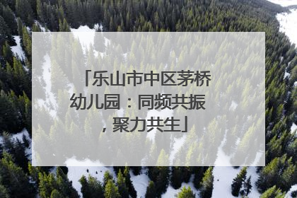 乐山市中区茅桥幼儿园：同频共振，聚力共生
