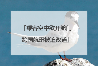 乘客空中欲开舱门 跨国航班被迫改道