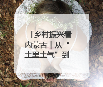乡村振兴看内蒙古｜从“土里土气”到“虾里虾气” 一田双收模式火出圈