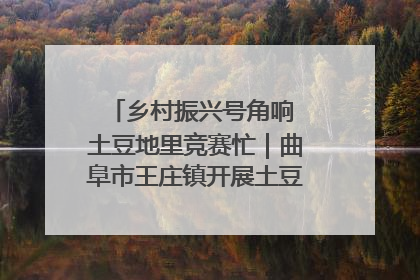 乡村振兴号角响 土豆地里竞赛忙｜曲阜市王庄镇开展土豆收获劳动竞赛