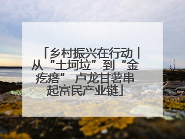 乡村振兴在行动丨从“土坷垃”到“金疙瘩” 卢龙甘薯串起富民产业链