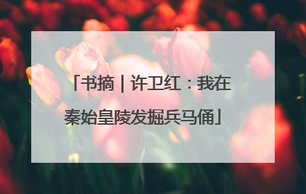 书摘｜许卫红：我在秦始皇陵发掘兵马俑