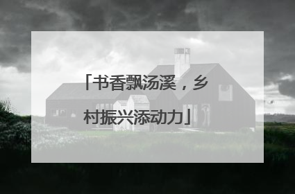 书香飘汤溪，乡村振兴添动力