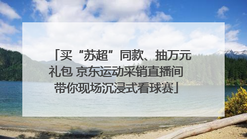 买“苏超”同款、抽万元礼包 京东运动采销直播间带你现场沉浸式看球赛