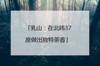 乳山：在北纬37度做出独特茶香