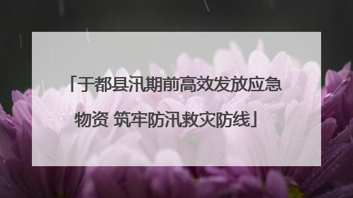 于都县汛期前高效发放应急物资 筑牢防汛救灾防线