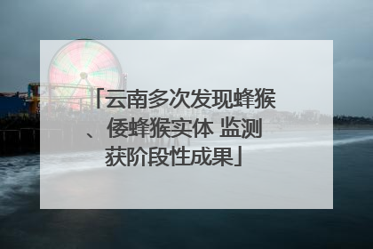 云南多次发现蜂猴、倭蜂猴实体 监测获阶段性成果