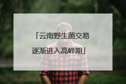 云南野生菌交易逐渐进入高峰期
