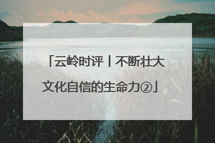 云岭时评丨不断壮大文化自信的生命力②