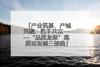产业筑基、产城共融、携手共富——“品质龙泉”高质量发展三部曲