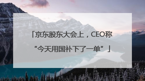 京东股东大会上，CEO称“今天用国补下了一单”