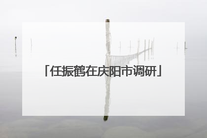 任振鹤在庆阳市调研