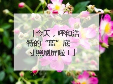 今天，呼和浩特的“蓝”底一寸照刷屏啦！