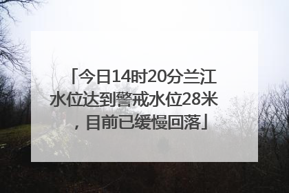 今日14时20分兰江水位达到警戒水位28米，目前已缓慢回落