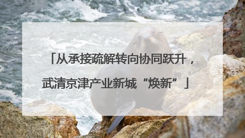 从承接疏解转向协同跃升，武清京津产业新城“焕新”
