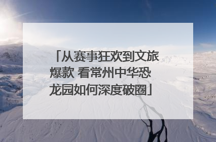 从赛事狂欢到文旅爆款 看常州中华恐龙园如何深度破圈