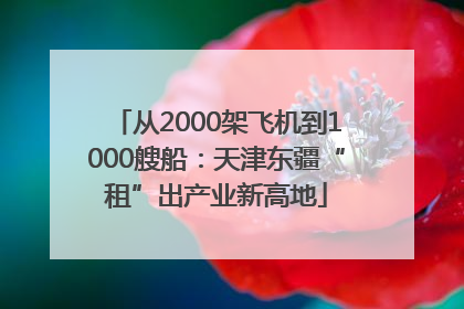 从2000架飞机到1000艘船：天津东疆“租”出产业新高地